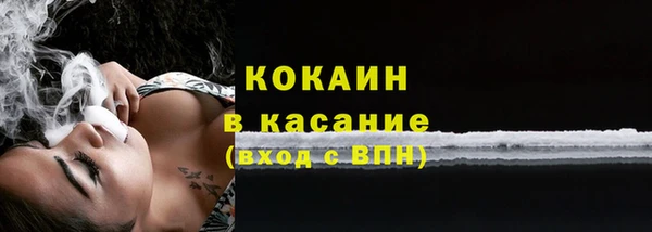трава Арсеньев