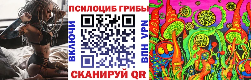 Псилоцибиновые грибы мухоморы  цена наркотик  Волгодонск 